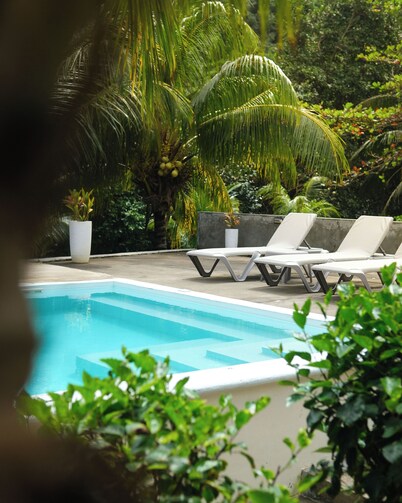 Hibiscus Caribbean Garden suite with pool