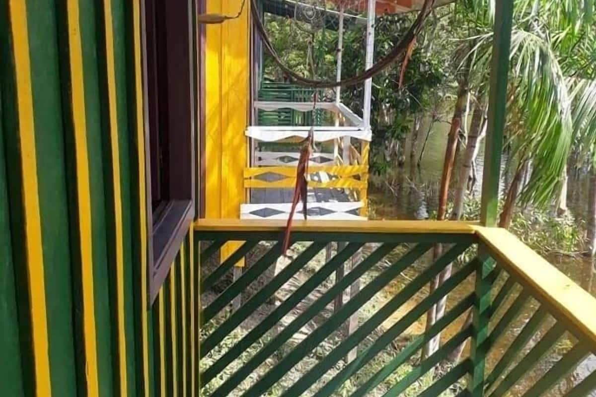 Un escalier avec des rampes vertes et jaunes mène à un espace extérieur abrité où se trouvent un hamac et un banc.