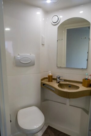 Bathroom features a toilet, sink, and mirror.