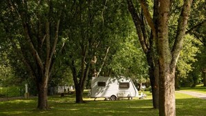A white RV parked in a grassy area surrounded by trees. - ZEcamping 3* animaux acceptés piscine et restaurant (Saintes)
