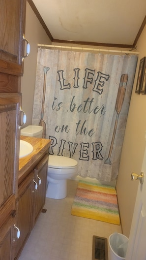 Shower, towels, toilet paper