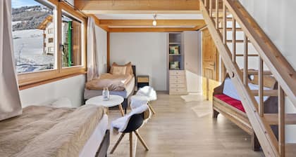 A&Y luxury chalet with sauna & whirlpool, ideal for families & nature lovers in Davos