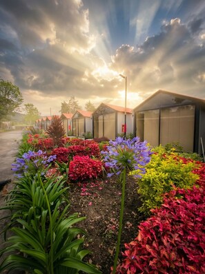 A row of modern, glass-roofed buildings with a garden in front featuring various colorful flowers. - NEW STAR CENTER (Rionegro)