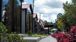 Exterior - NEW STAR CENTER    (Rionegro)