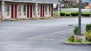 A motel with a row of red doors and a parking lot with yellow bollards. - BUDEGT MOTOR LODGE (New Castle)