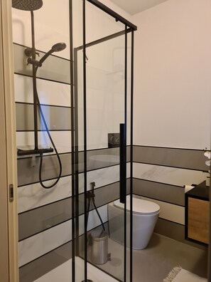 Shower, hair dryer, bidet, towels