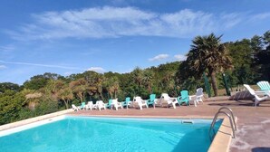 A swimming pool with clear blue water, surrounded by white lounge chairs and palm trees.