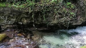 Unclassified image, 4 of 42, button - La Pagliarella (Caramanico Terme)