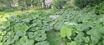 4-BEDROOM APARTMENT FOR ALL-INCLUSIVE WORKERS | 5 MN PONT LAVIOLETTE 