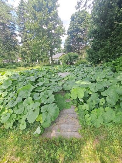 4-BEDROOM APARTMENT FOR ALL-INCLUSIVE WORKERS | 5 MN PONT LAVIOLETTE 