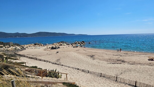 A sandy beach with a wooden fence, a clear blue sky, and calm sea. - T3 Paradise on the beach, feet in the water (Olmeto)