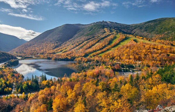 Vista des de l'allotjament