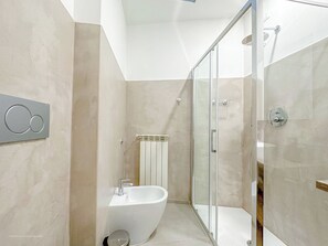 Shower, hair dryer, bidet, towels