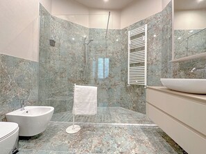 Shower, hair dryer, bidet, towels