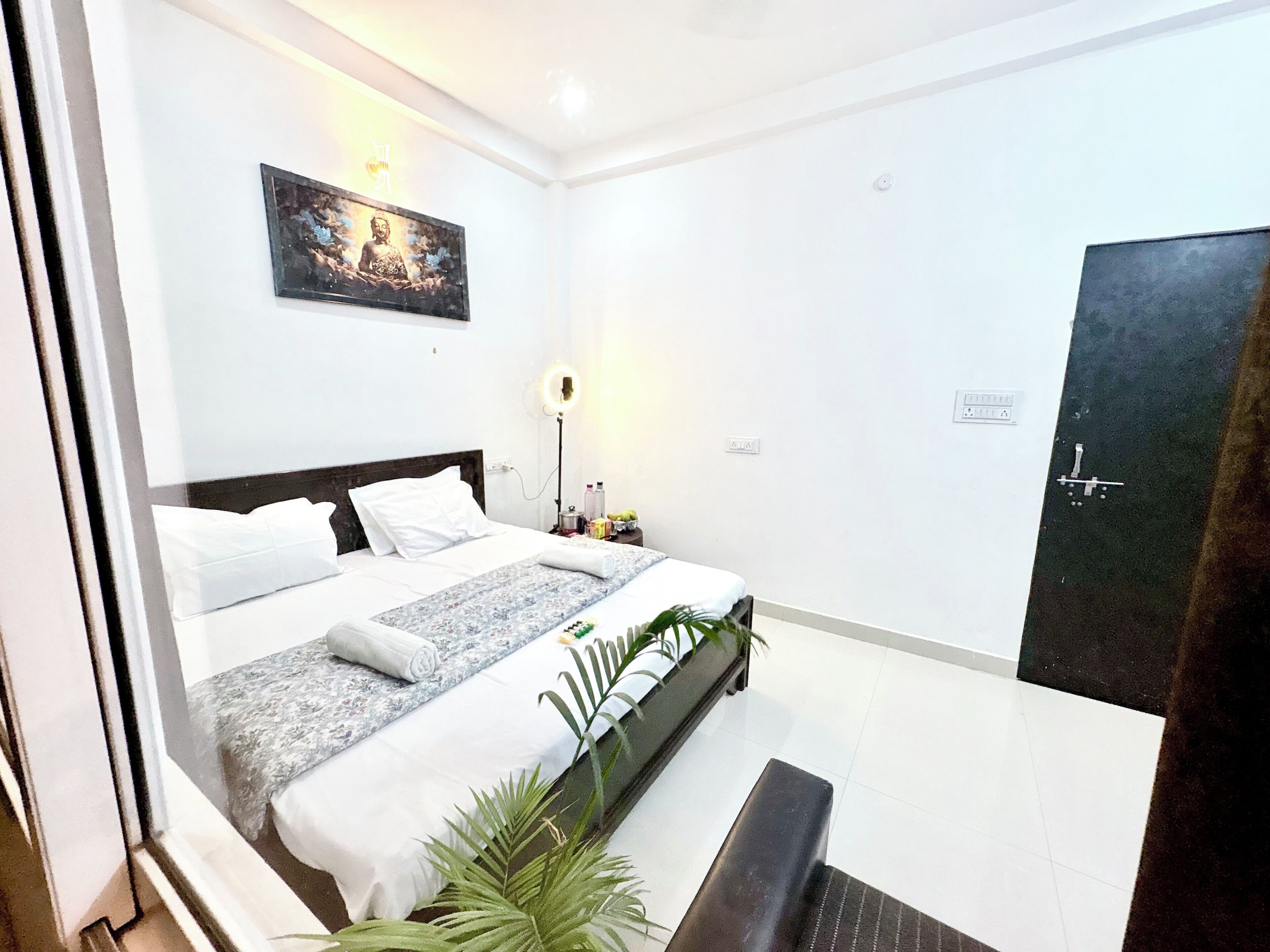 A hotel room with a bed, a nightstand, a wall-mounted light, a door, and a potted plant.
