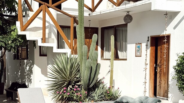 Een zwembadterras met een ligstoel, een betonnen trap en een cactustuin.