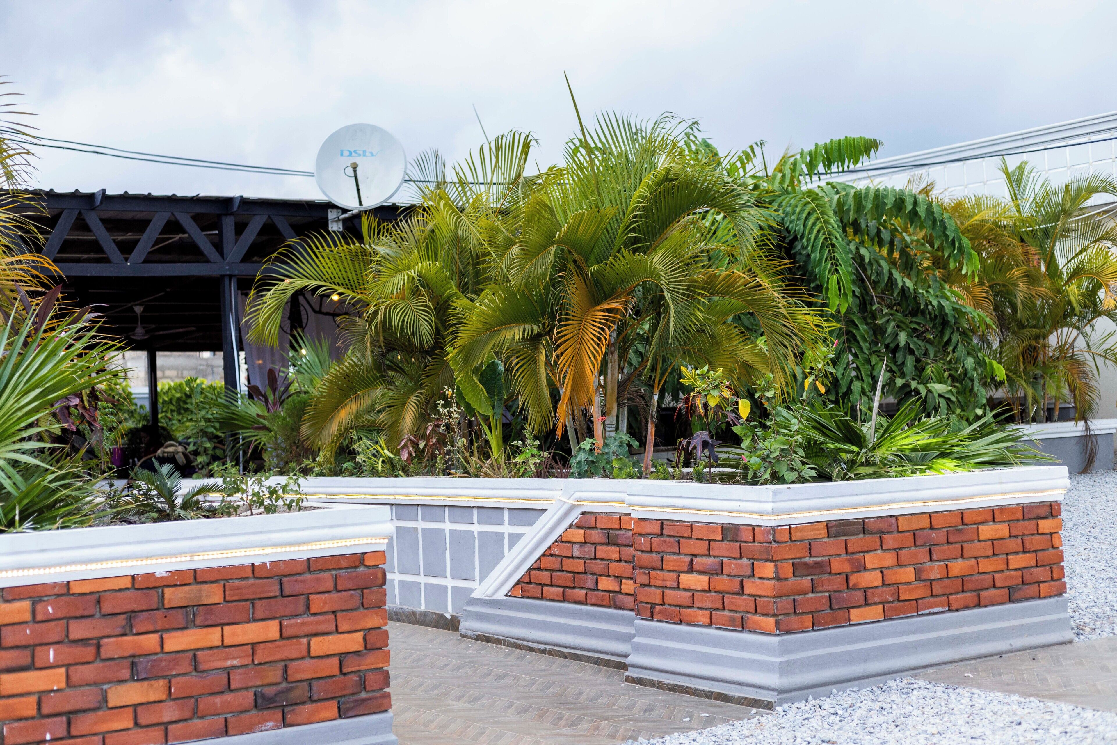 A brick planter with lush greenery, a satellite dish, and a metal structure in the background.