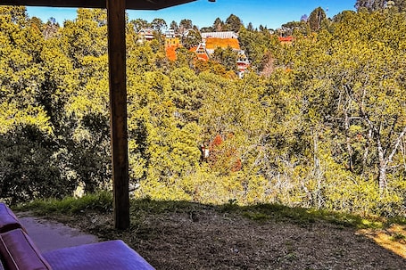 Vista desde la propiedad