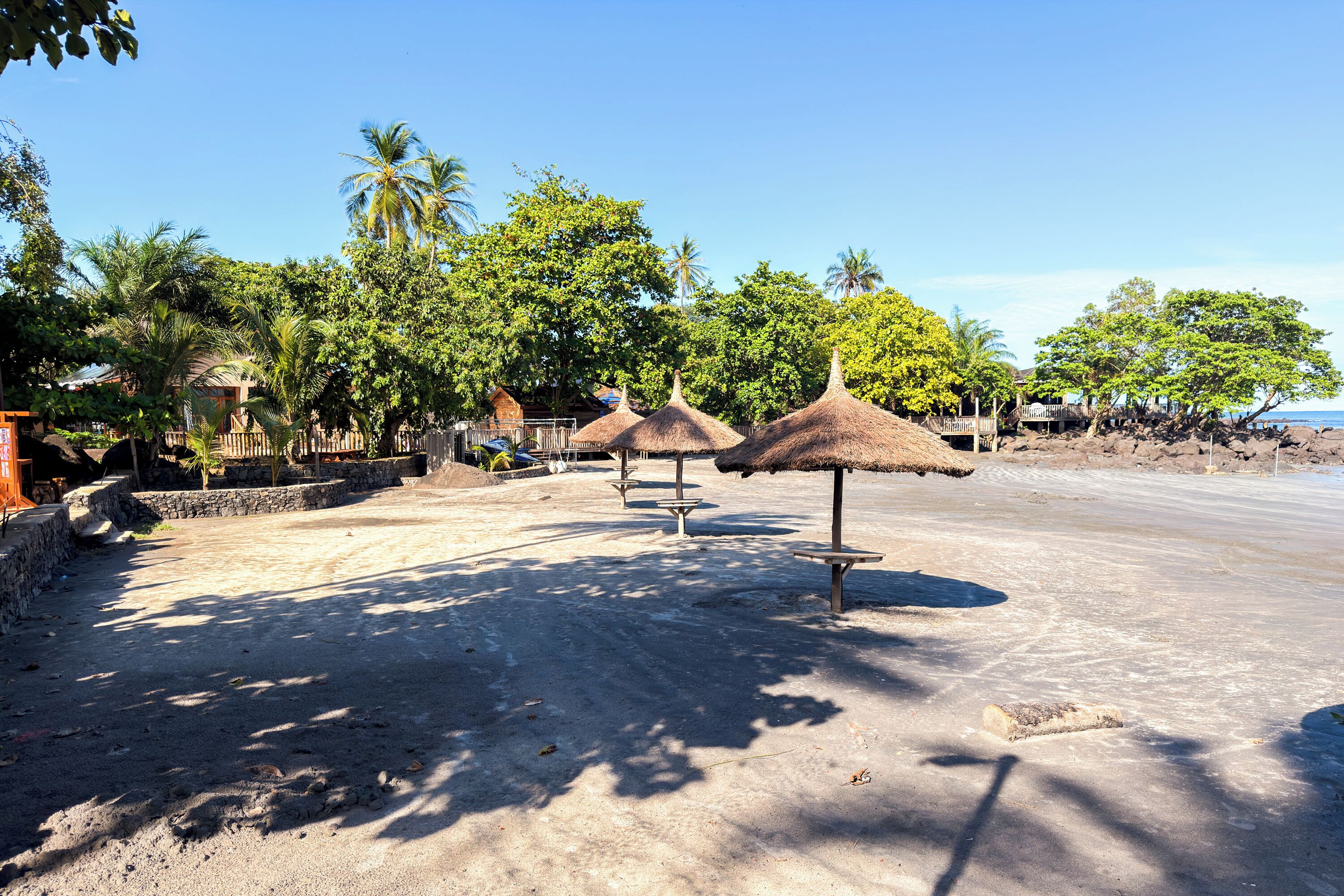 A beachside area with thatched umbrellas, palm trees, and a sandy path.