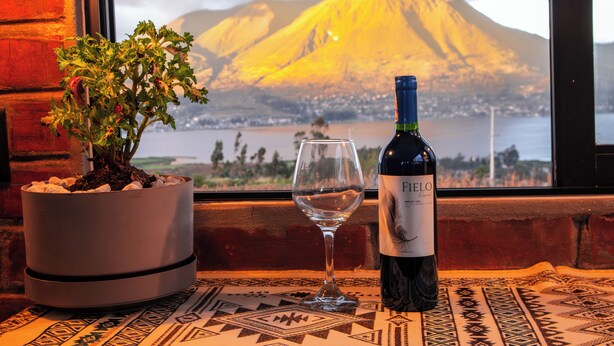 Una pianta in vaso, una bottiglia di vino e un bicchiere da vino su un tavolo con una tovaglia fantasia, con vista sulle montagne attraverso una finestra.