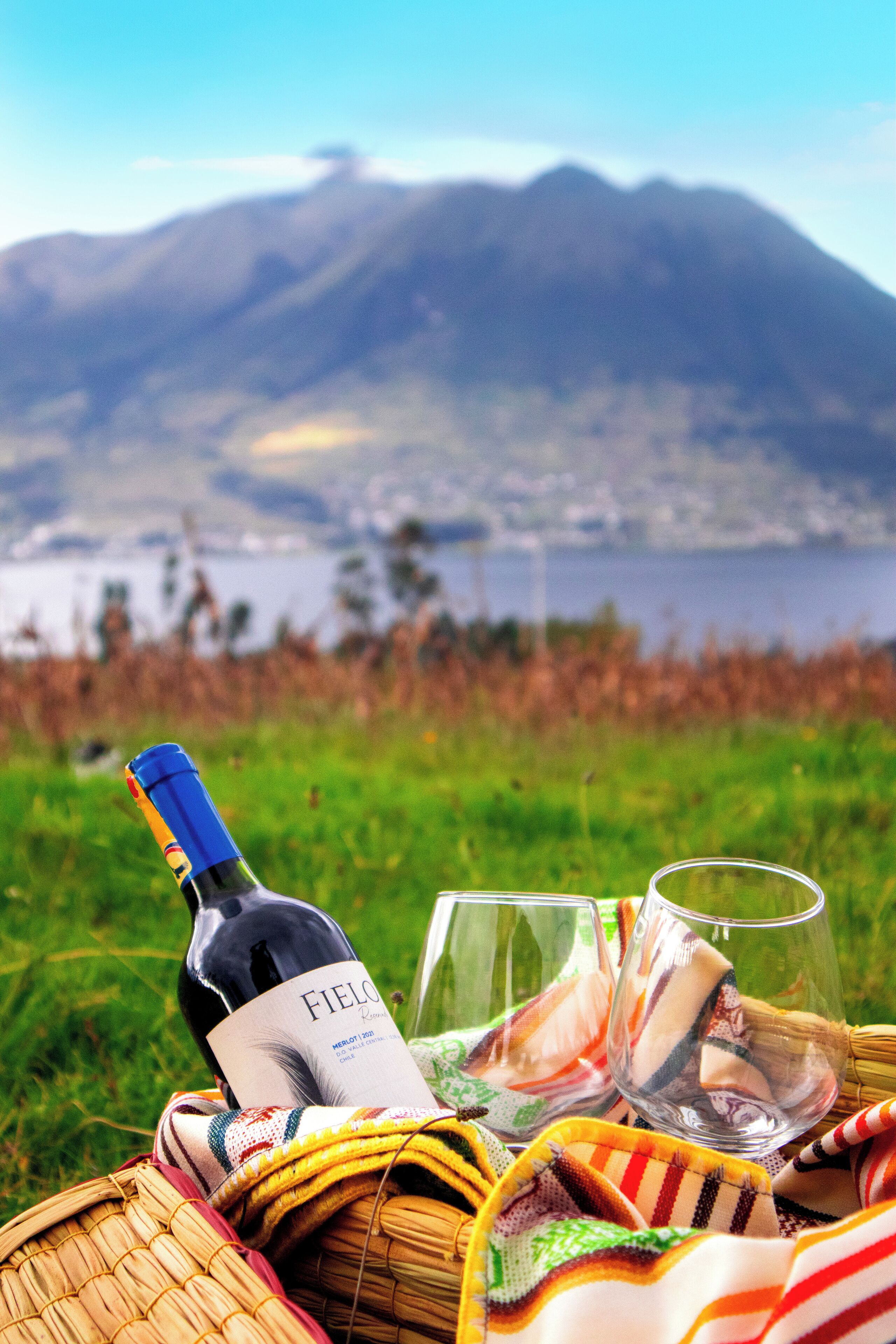 A bottle of wine, two glasses, and a woven basket on a grassy area with a mountain and lake in the background.