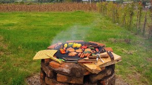 Una griglia esterna in mattoni a forma circolare, con diversi tipi di carne e verdure che cuociono, immersa in un prato erboso con una montagna e un lago sullo sfondo.