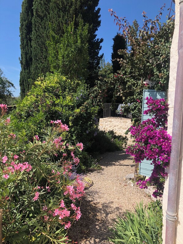 A garden pathway with gravel, surrounded by various flowering plants and trees.