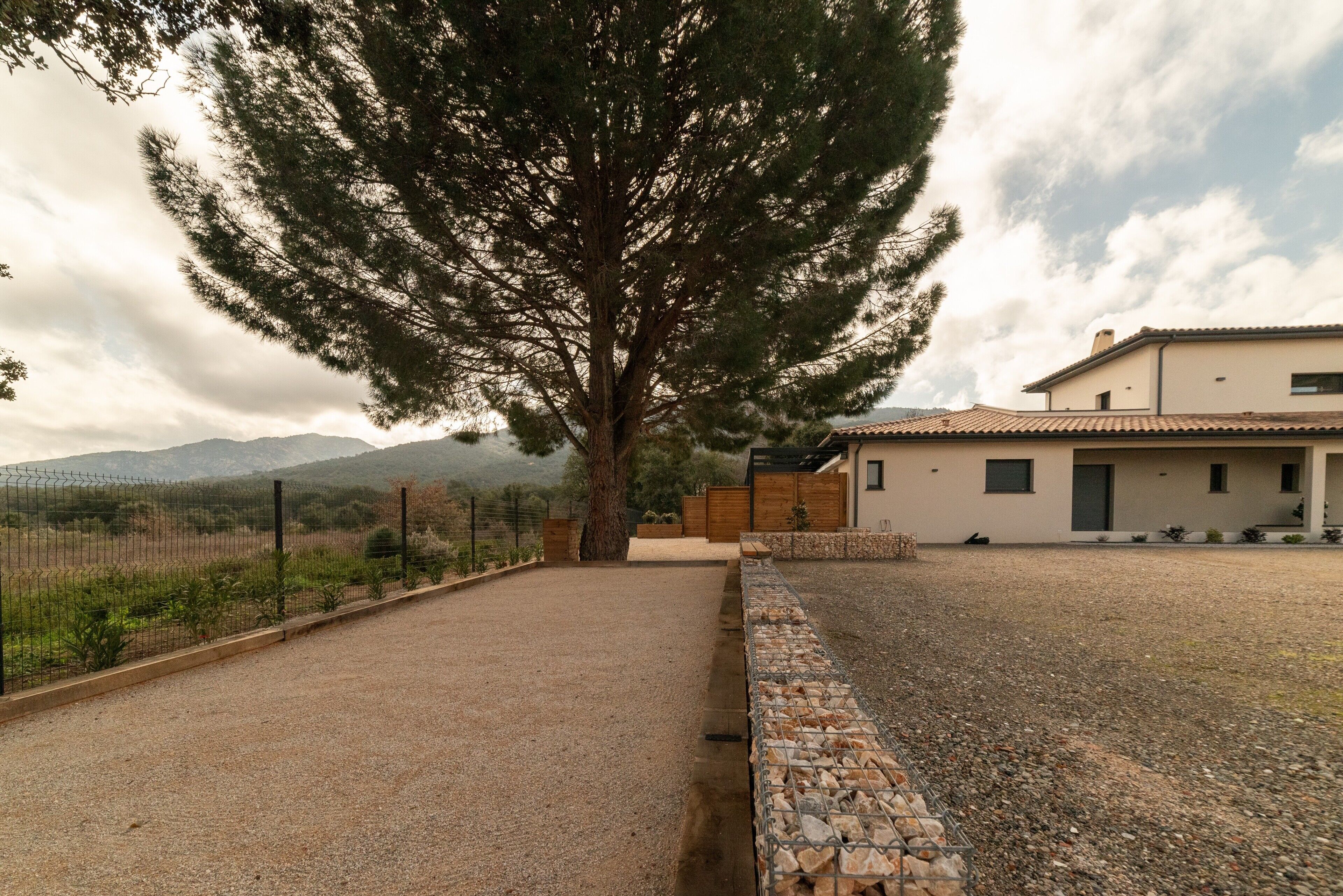 A house with a gravel driveway, a stone wall, and a large tree in front.
