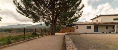 A house with a gravel driveway, a stone wall, and a large tree in front.