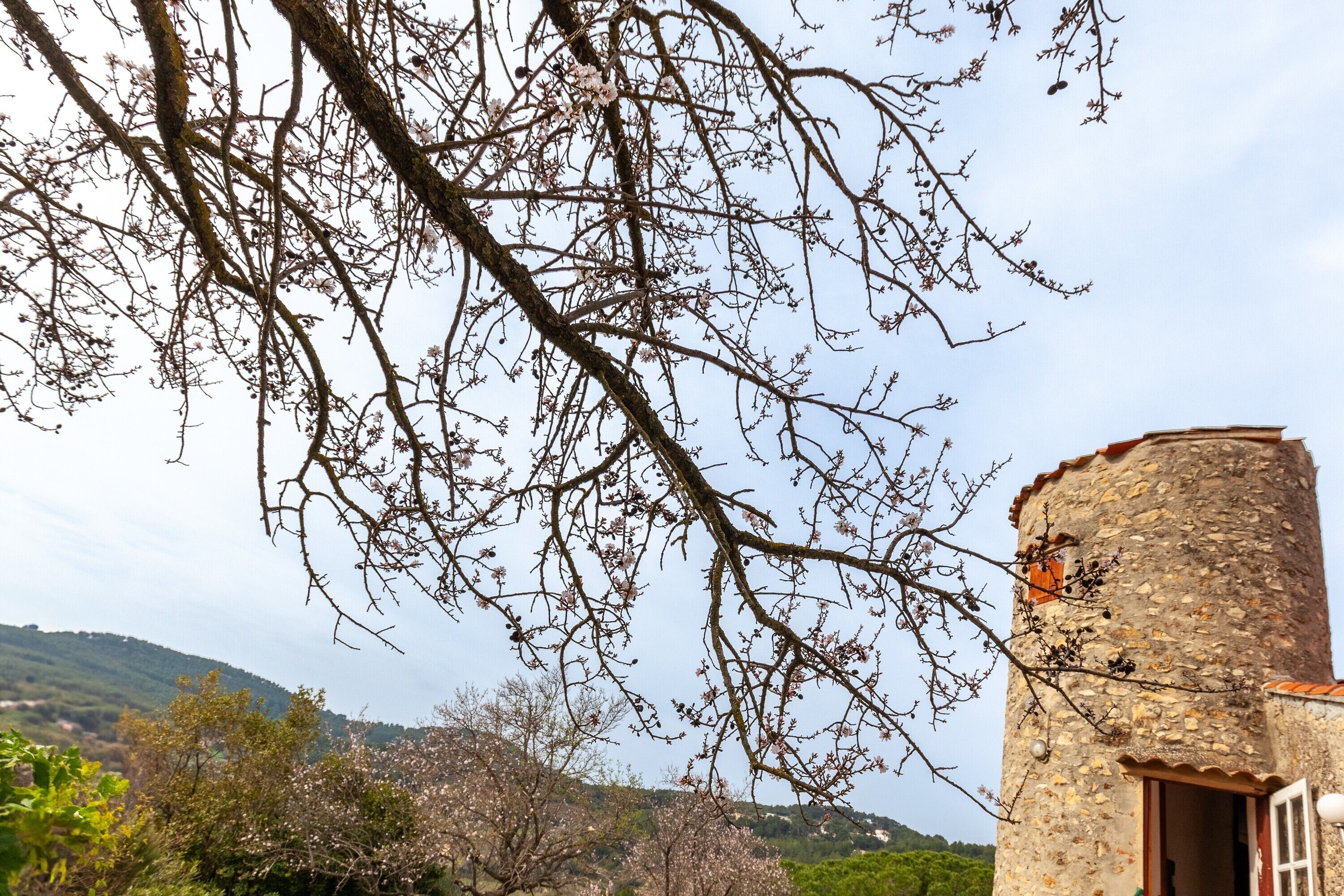 A stone building with a circular tower, surrounded by trees and a hilly landscape.