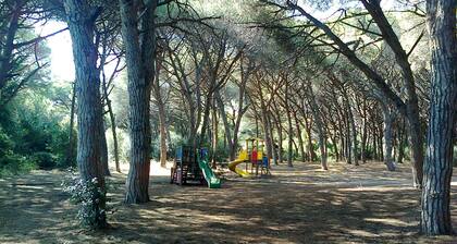 Two-room ground floor apartment with private fenced garden.