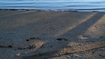 Una spiaggia nelle vicinanze