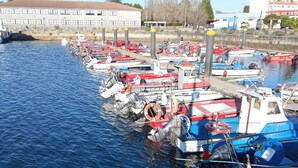 Un puerto deportivo con barcos amarrados a lo largo de la orilla, un edificio con señalización y cielo despejado.