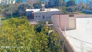 A coastal residential area with a clear view of the sea, palm trees, and a building with a flat roof.