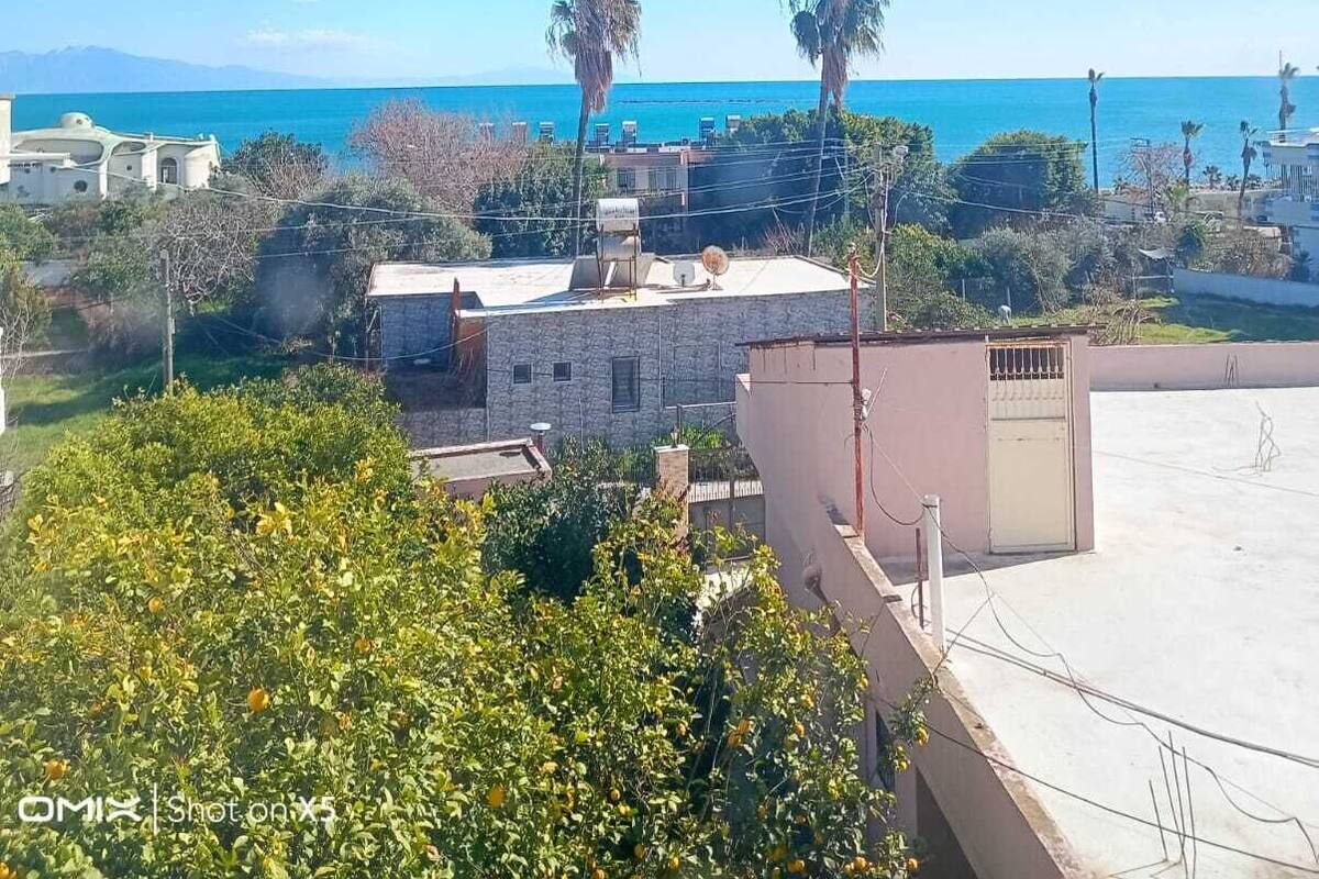 Una zona residencial costera con vistas despejadas al mar, palmeras y un edificio de techo plano.