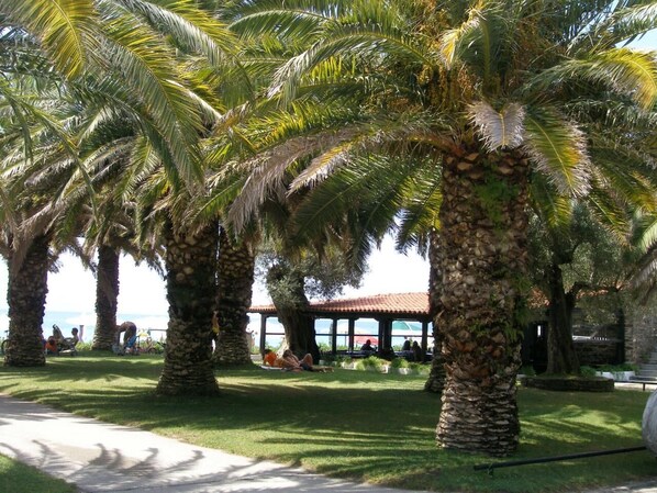 Overnattingsstedets uteområder