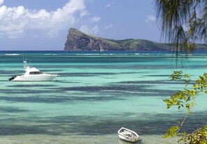 Chaises longues, serviettes de plage