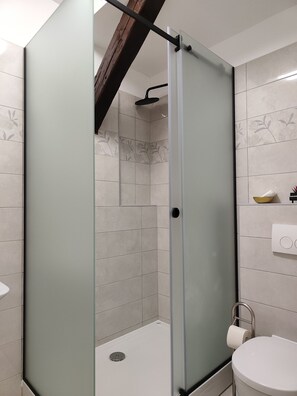 Bathroom features a glass-enclosed shower, sink, and toilet.