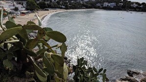Un pueblo costero con edificios en una colina, una playa y una planta de cactus en primer plano.
