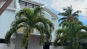 Un espacio exterior cubierto con un edificio blanco al fondo, palmeras y plantas de hojas rojas.