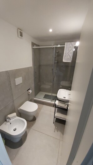 Shower, hair dryer, bidet, towels