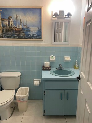 Douche, sèche-cheveux, serviettes fournies, papier toilette