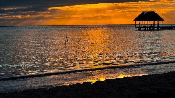 A beach scene with a wooden structure, likely a gazebo, near the water's edge. - BOHO Loft Steps from the Beach (Holbox)