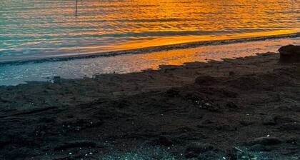 Artistic Loft Steps from the Beach w/Pool View