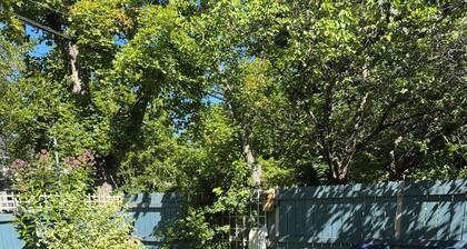 Cozy 1-bedroom Apt in Missoula. Walking distance to the University and downtown