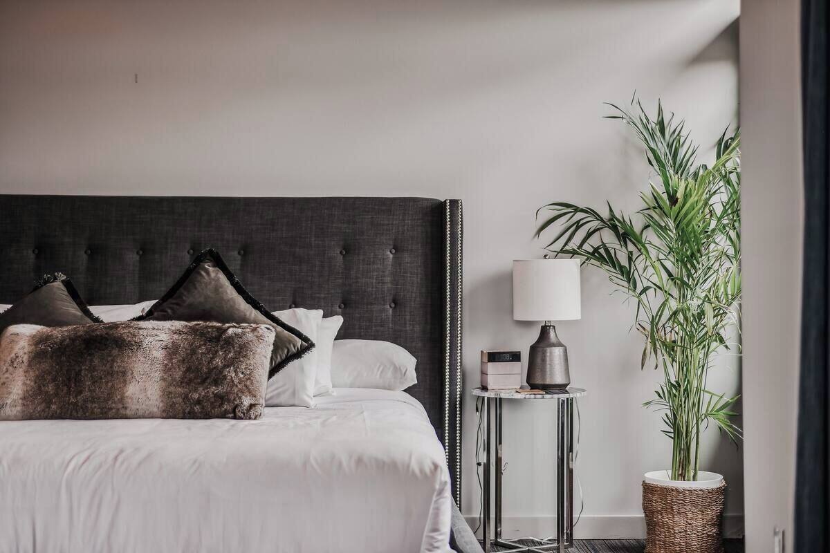 A neatly made bed with a dark headboard, white bedding, and a large fluffy pillow. There is a small bedside table with a lamp and a potted plant beside the bed.