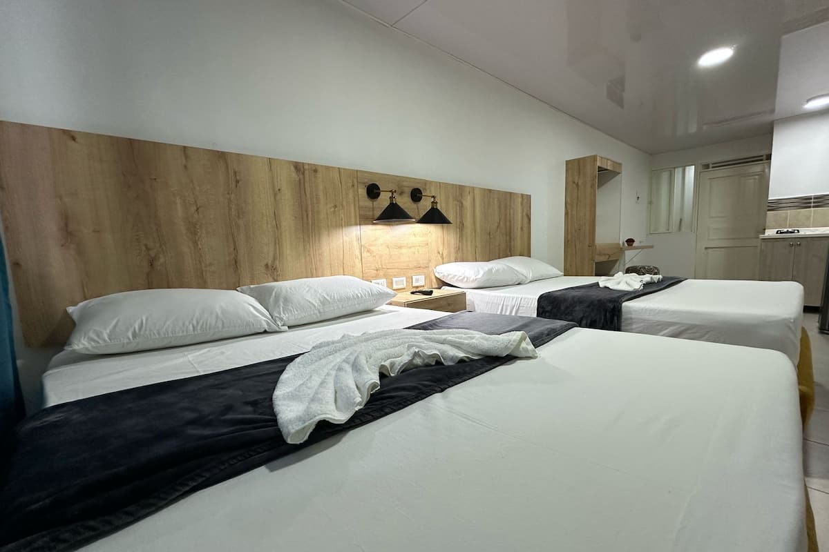Quarto duplo luxo, 1 quarto | Roupas de cama antialérgicas, individualmente decorados