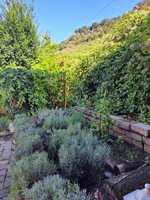 Property grounds - House on the Rhine with mountain views (Sankt Goarshausen)