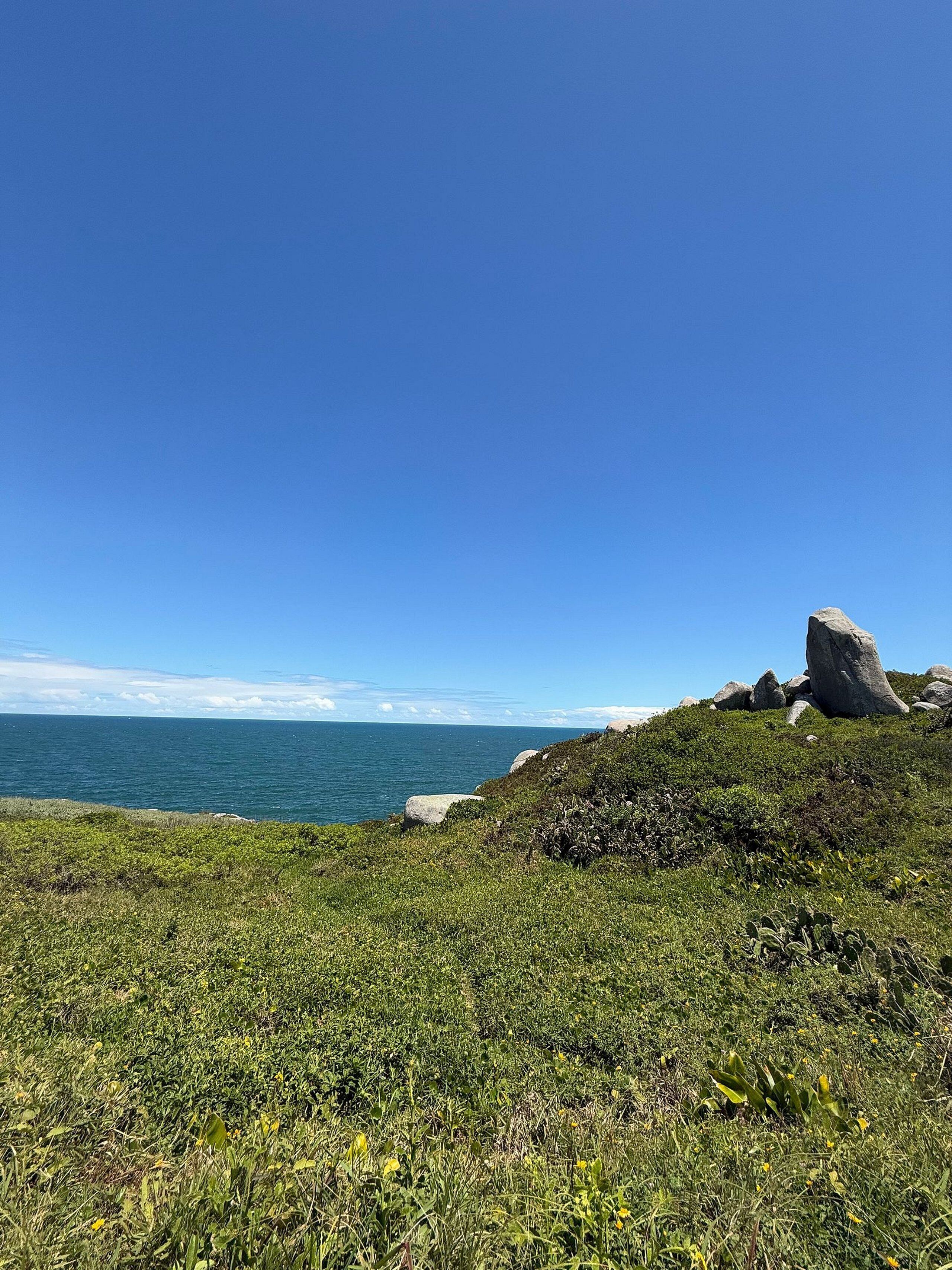 A coastal landscape with a grassy foreground, a rocky hill, and a view of the ocean under a clear blue sky.
