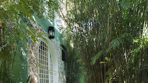 A stone staircase leading to a green building with a white door, surrounded by lush greenery and bamboo.